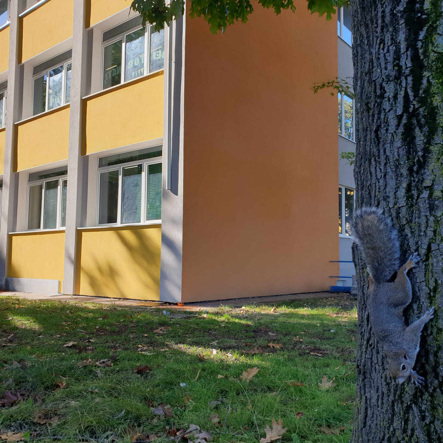 Cortile Ada Negri